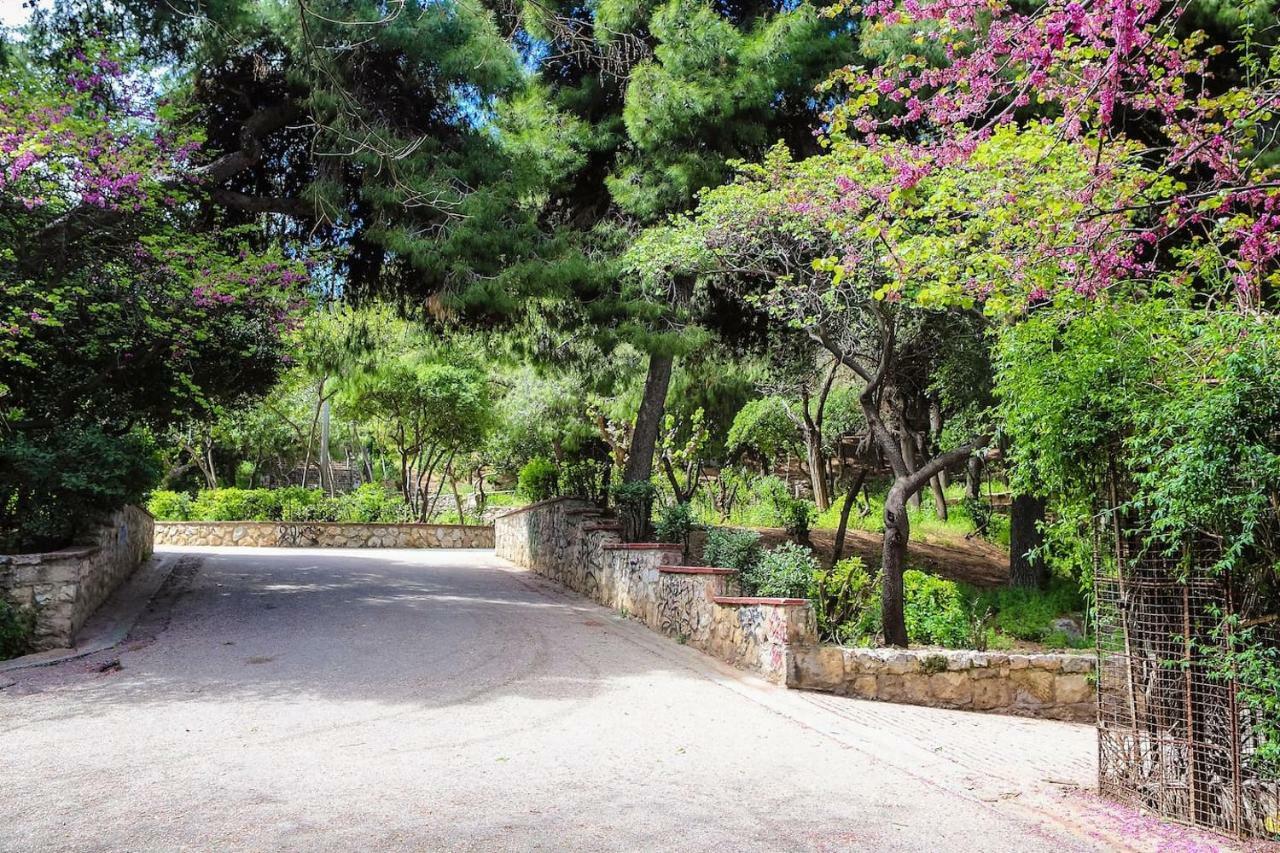 Charming Apartment Near Panathenaic Stadium Athens Exterior photo